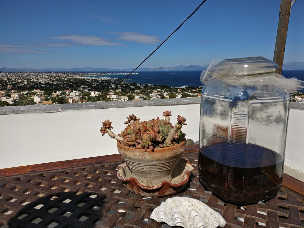 Goddess Artemis Balcony Διαμέρισμα Εξωτερικό φωτογραφία